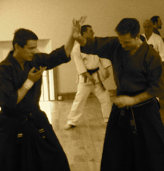 Wisewarrior, Aikido Cheltenham